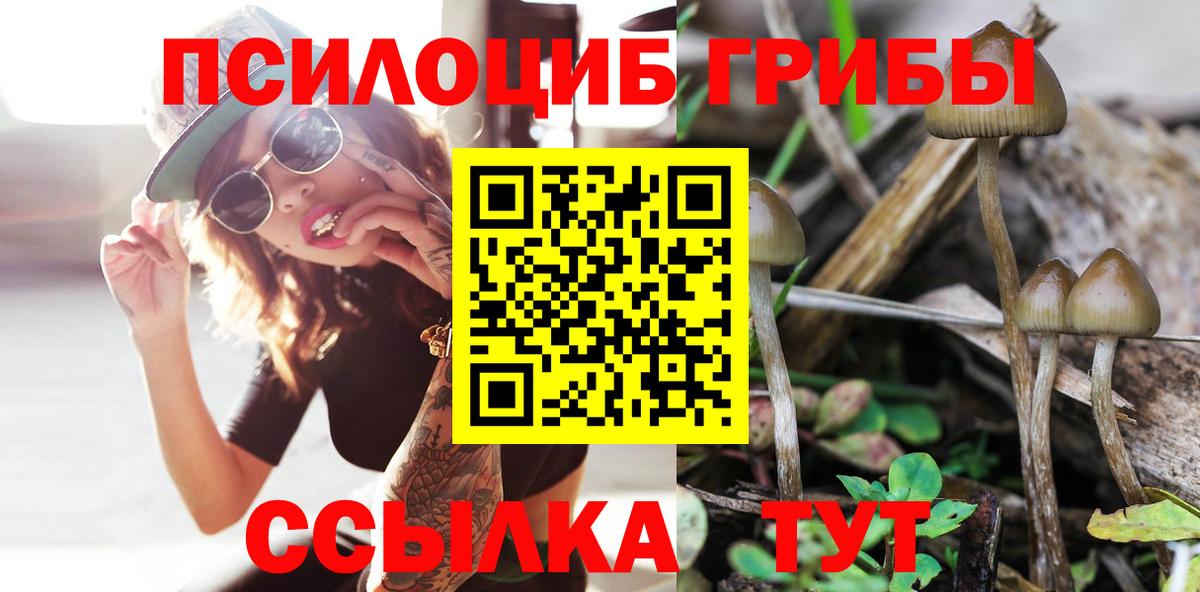 Псилоцибиновые грибы прущие грибы  Галлюциногенные грибы GOLDEN TEACHER  Дятьково  наркошоп  Вход с VPN 